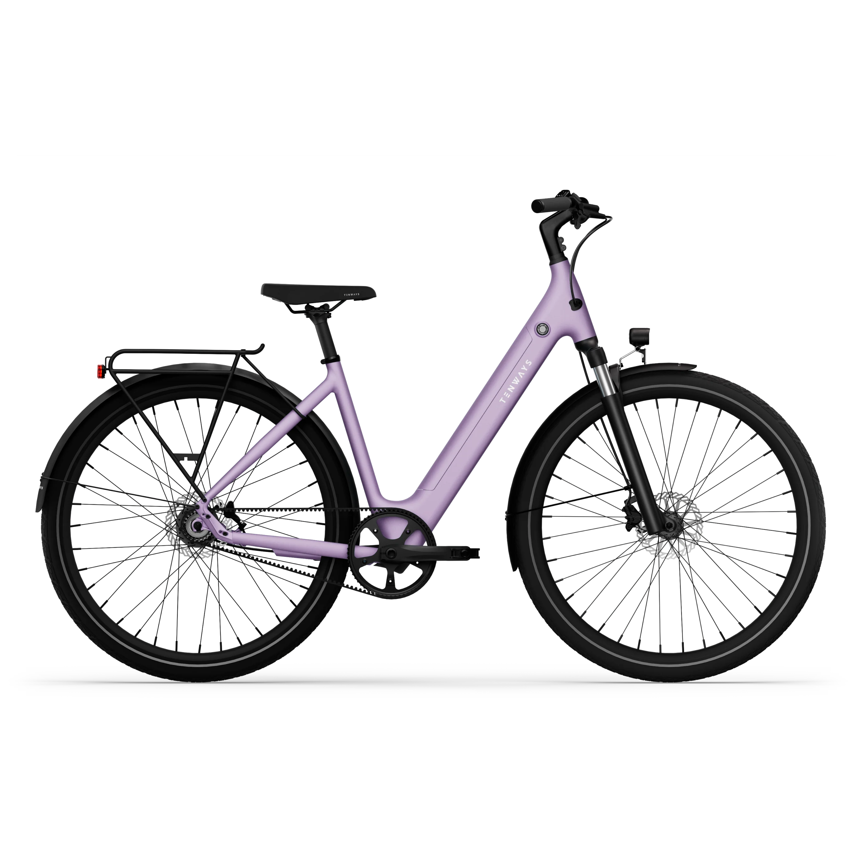 Lavender Purple