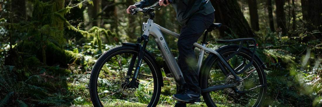 Build a Greener Future This World Car-Free Day