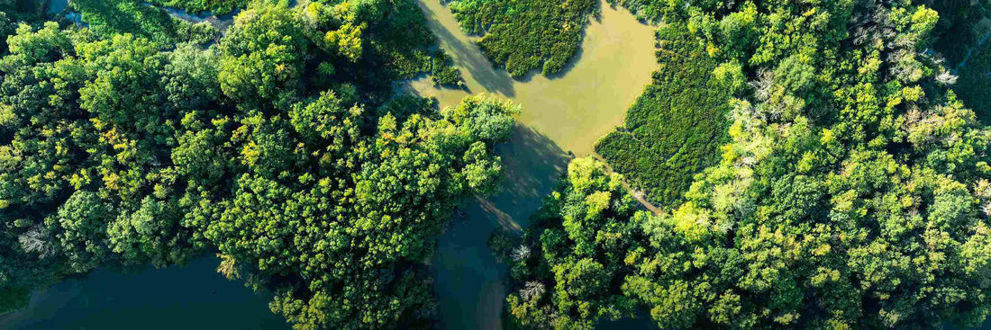 World Nature Conservation Day 2025: Be A Sustainability Changemaker