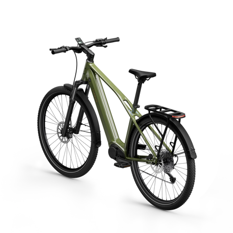chain_olive_moss